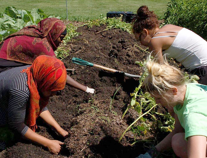 St. Marys Health Collaborative Garden