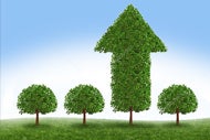 Intermountain, Memorial Hermann, Trinity Take Stake in $300 Million Private Equity Fund. A green lawn with four trees. Three are round and one is growing above the other three in the shape of an arrow.