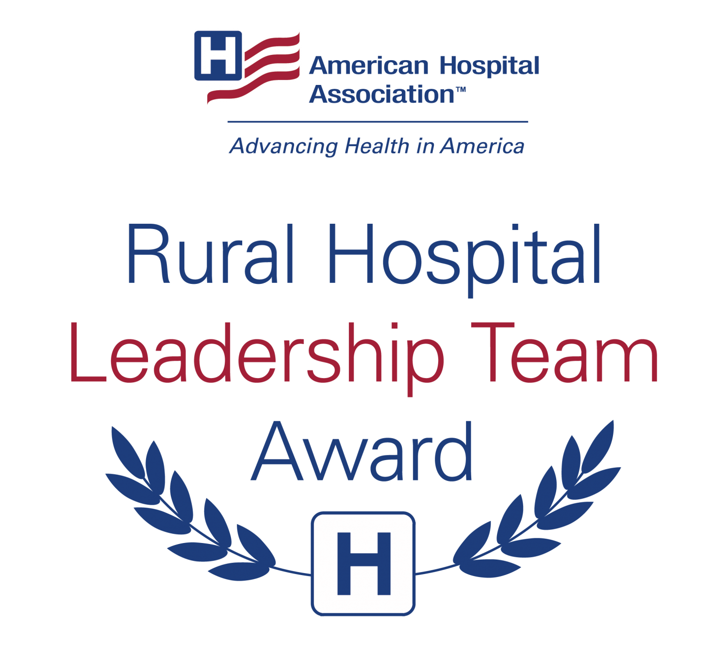 Rural Hospital Leadership Team Award. American Hospital Association.