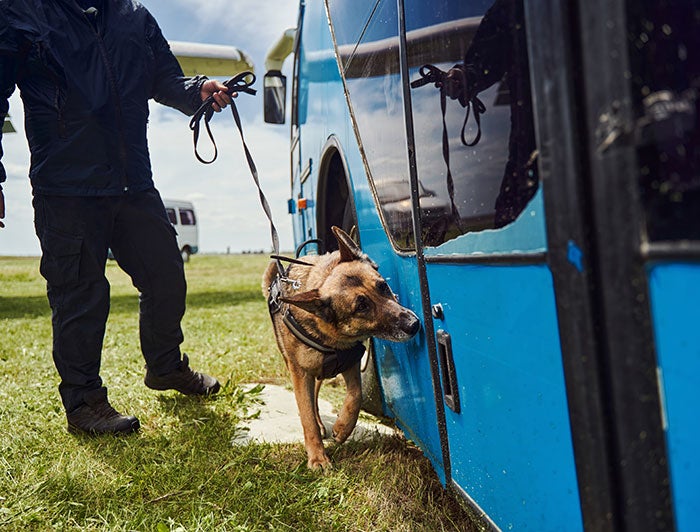 Dog and handler next to a blue bus