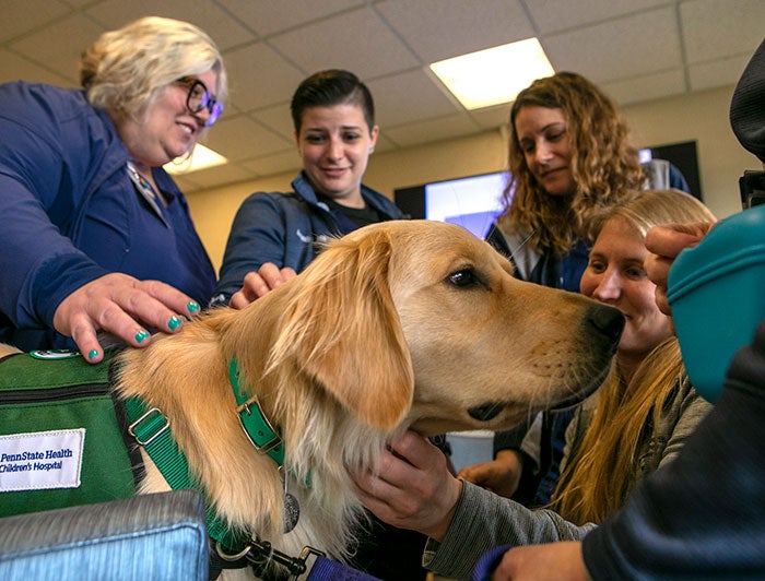 Hershey staff surround Skye the golden retriever