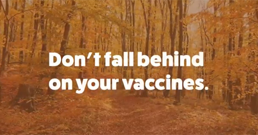 Video Still Image of a forest of changing leaves with text: don't fall behind on your vaccines.