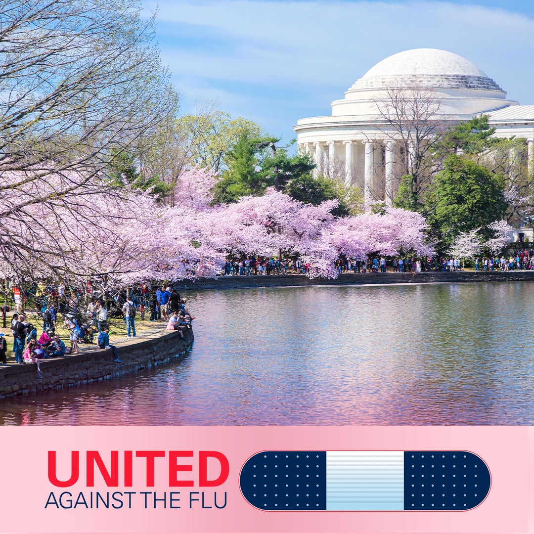 united against the flu logo below image of Cherry trees blossoming around Tidal Basin in front of Jefferson Memorial