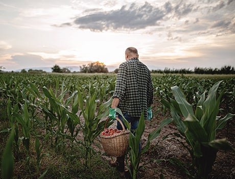 Man walking in field