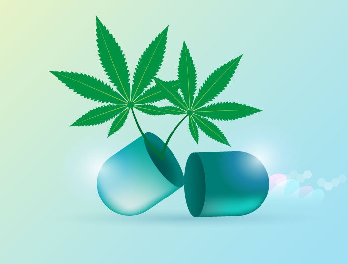 Stock graphic of cannabis leaves rising from an open pill capsule