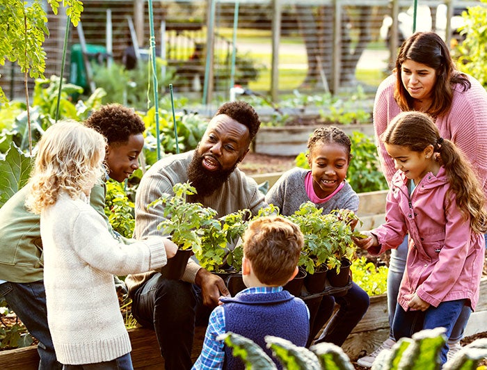 Community Health and Environment community garden