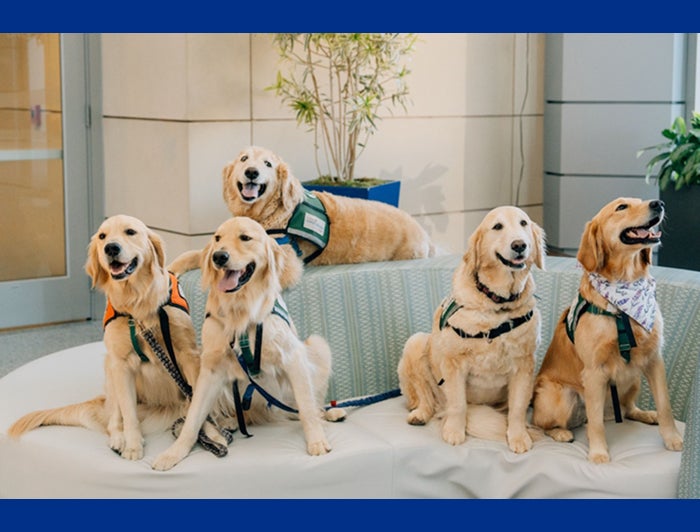 Children’s Hospital of Oklahoma Paws for Purpose dogs