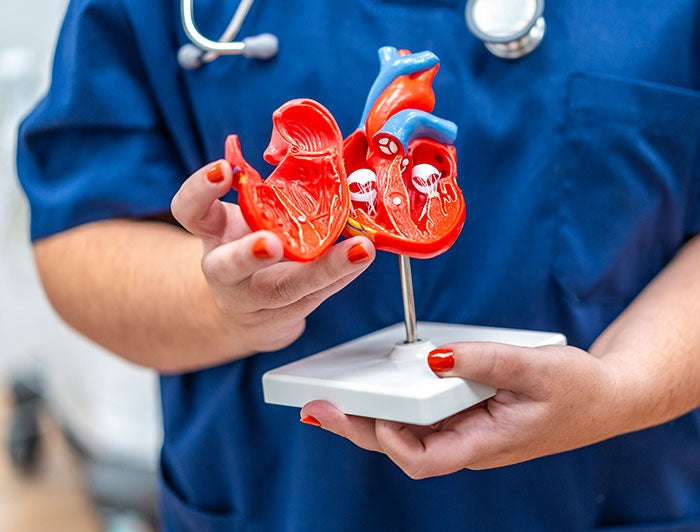 Telling the Hospital Story. From stem cells to supernovas: Nevada patients get a jolt of hope with new heartbeat tech.