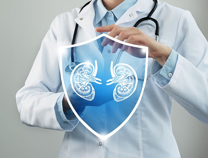 Telling the Hospital Story: Renown Health live kidney transplant - stock image of illustrated kidneys