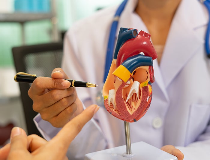 Anatomically correct model of human heart; Telling the Hospital Story: Banner Health Doctor Makes History with Innovative Heart Valve Solution