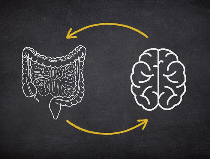 chalk illustration of connection between brain and gut
