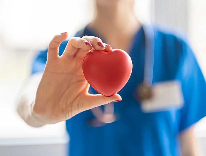 Medical staff holding a heart