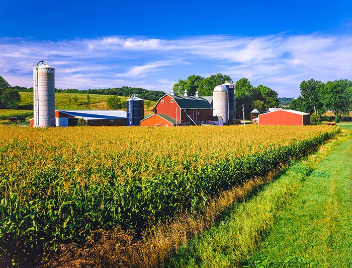 A farm with red barn and silos in a field of corn