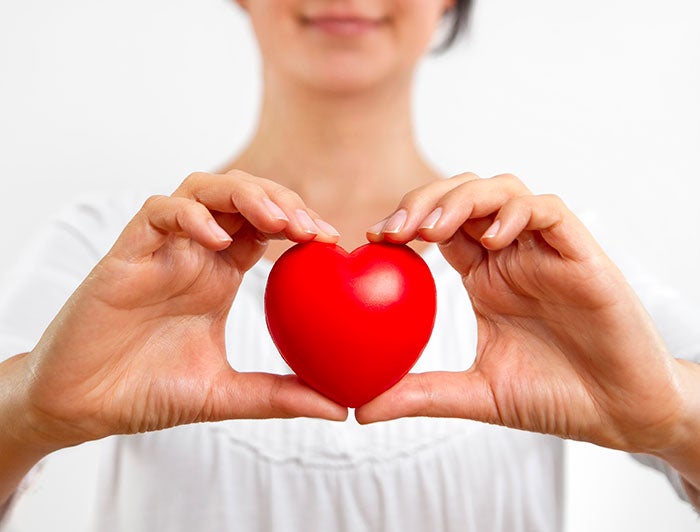 a women's hands hold a plastic heart