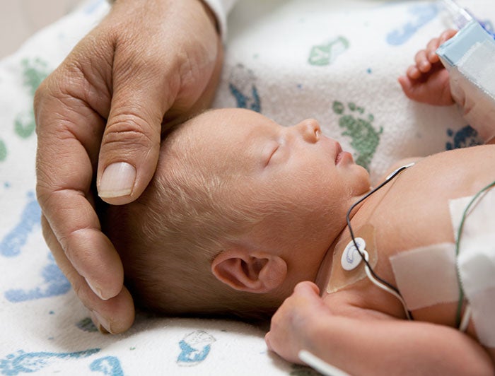 adult hand cradling a NICU infant's head