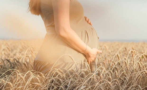 3 Keys to Addressing the Rural Maternal Health Crisis. A pregnant White women in a beige maternity dress stands in a field of golden wheat with her hands on her belly.
