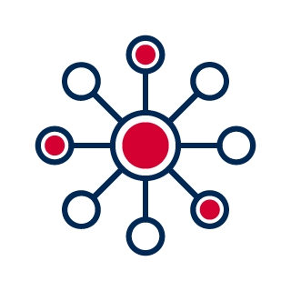 Accountable Care Organizations icon.