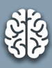 Predicting Risks, Potential Causes of Adolescent Mental Illness, Brain.