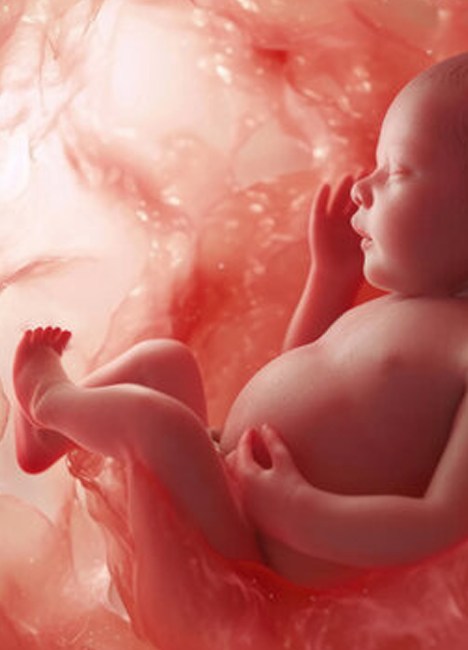 Detecting Congenital Heart Defects in Utero. Examining a fetus in utero for congenital heart defects 