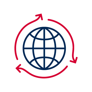 Capitated and Global Budget Models icon.