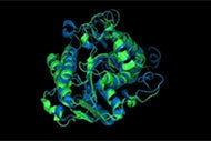 Image of a folded protein.