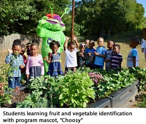 Students picking vegetables