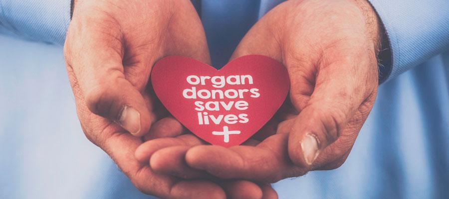 Hrsa Recognizes Hospitals For Organ Donation Efforts Aha News 