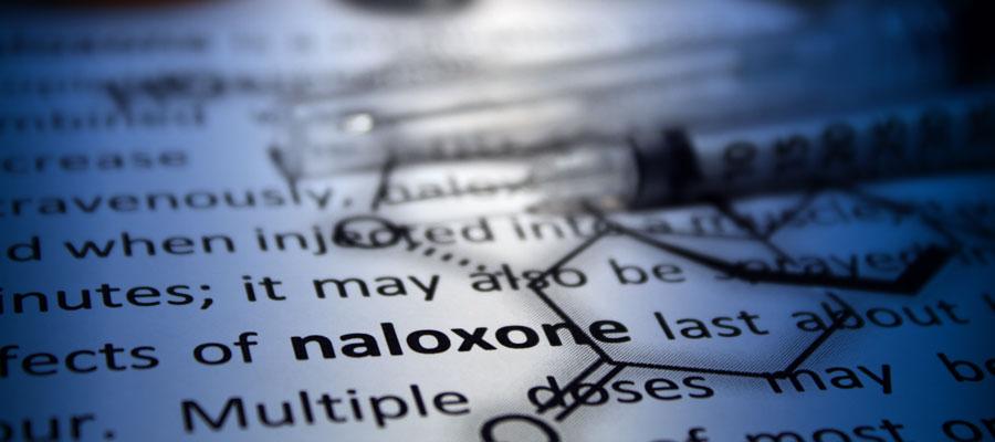 Image showing the word nalaxone in bold