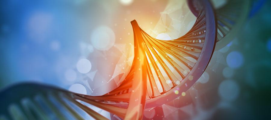 DNA helix genome genetic