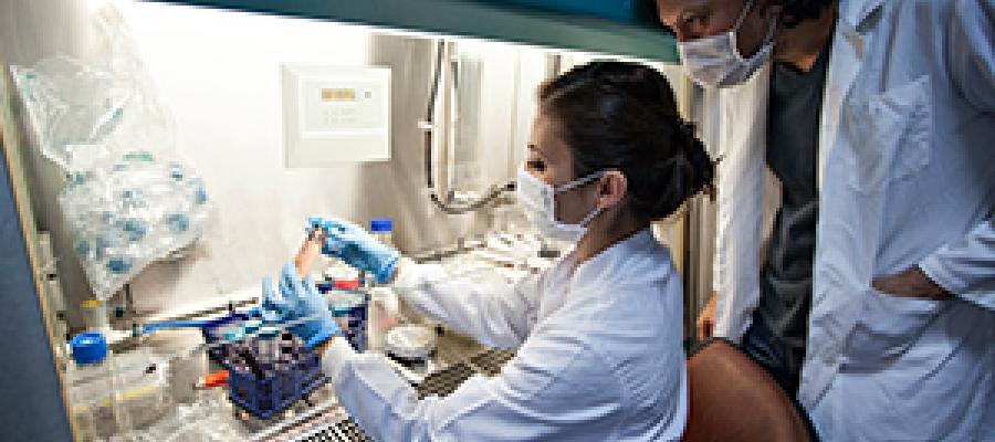 Coronavirus COVID-19 CDC Guidance stock. Two lab workers test samples.