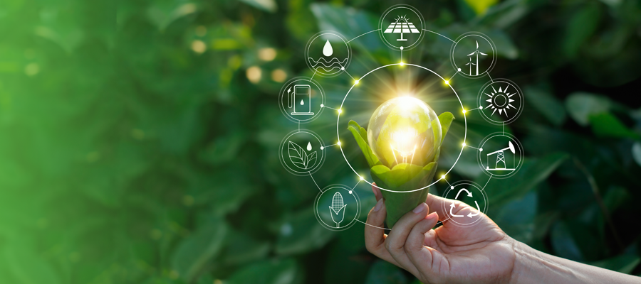 A hand holds a lightbulb blooming out of a flower surrounded by power source icons representing solar power, wind power, the sun, oil well, recycling, corn, biofuel, a gas pump, and water power.