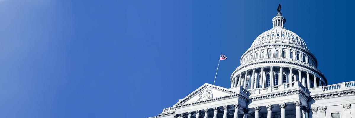 Capitol Hill Image