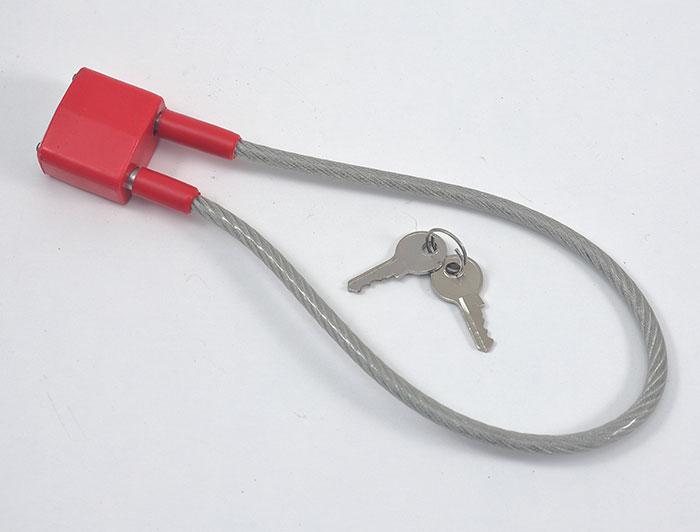 A gun lock and keys sit on a white background