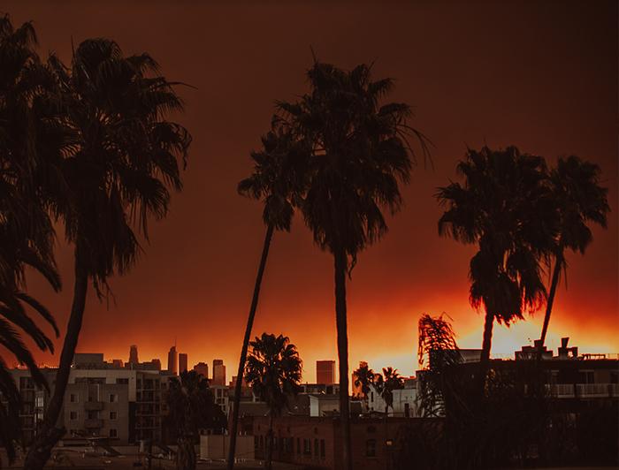 Photo of a palm trees and buildings with a backdrop of hazy skies and the glow of fires