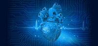 How Artificial Intelligence Can Support Precision Heart Care. A digital image of a human heart.